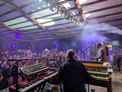 Sunshine Hootenanny Music & Arts Festival 2024 Recap